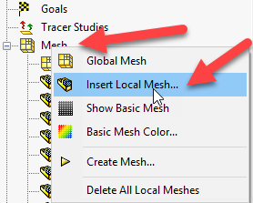 Local Mesh options