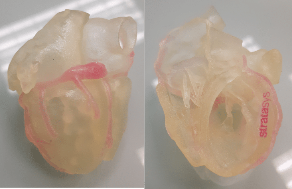 , J750 Digital Anatomy: First Impressions